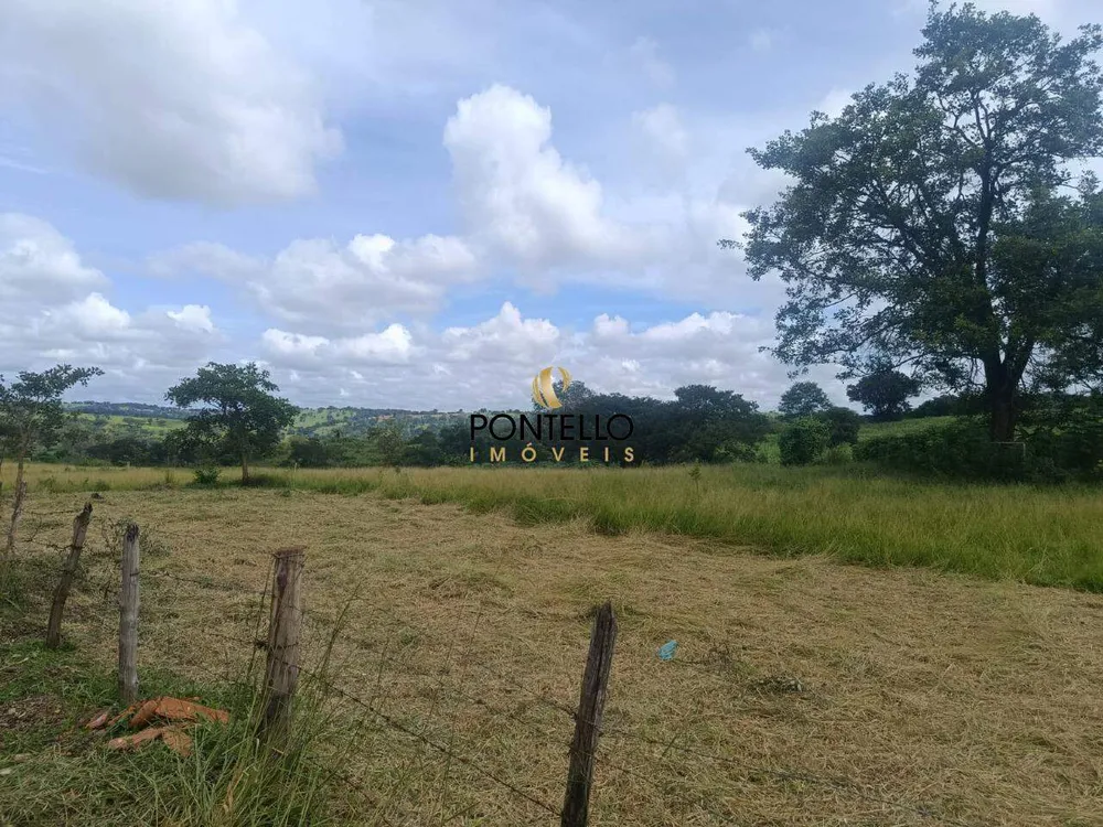 Terreno, 2 hectares - Foto 4