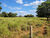 Fazenda, 496 hectares - Foto 3