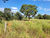 Fazenda, 496 hectares - Foto 2
