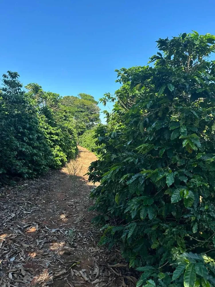 Fazenda, 1 quarto - Foto 14