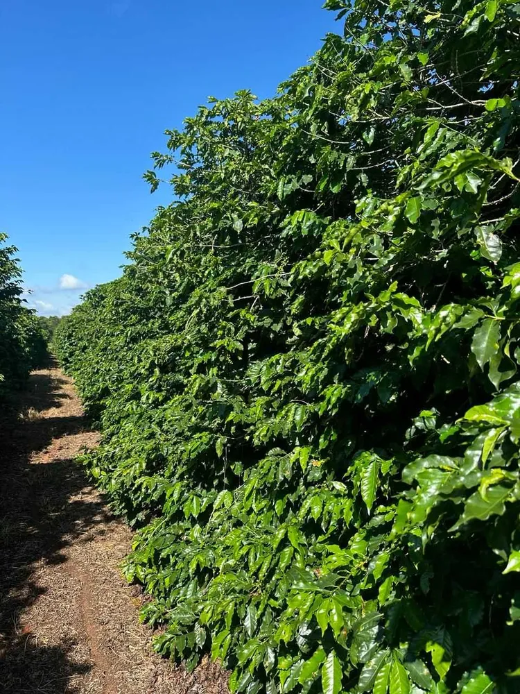 Fazenda, 1 quarto - Foto 1