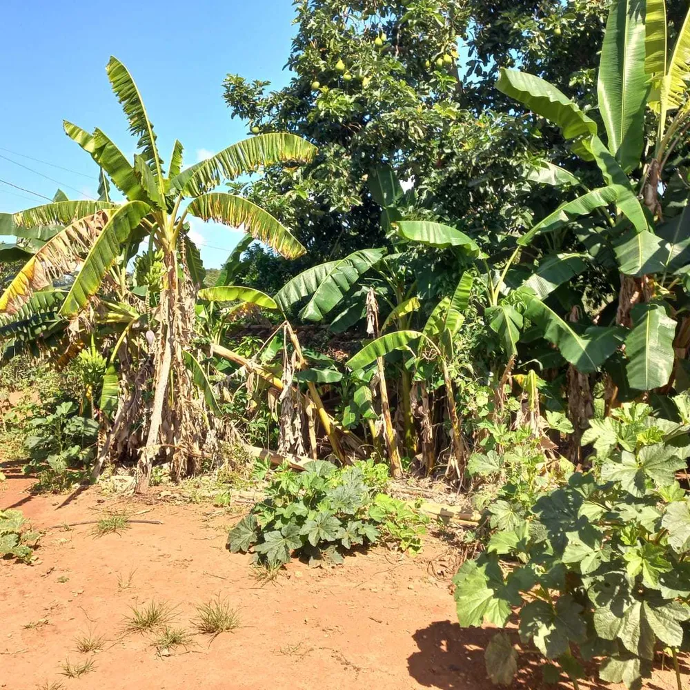 Fazenda, 1 quarto - Foto 2