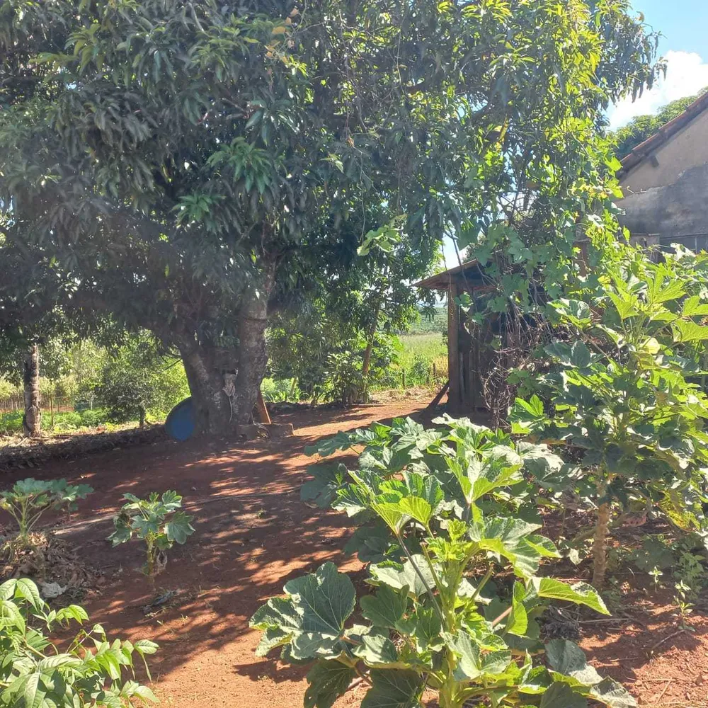 Fazenda, 1 quarto - Foto 4