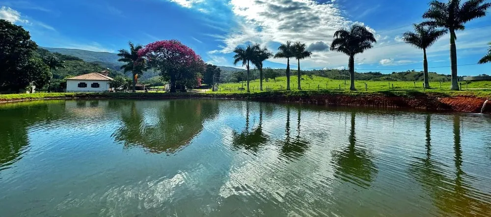 Fazenda, 239 hectares - Foto 5