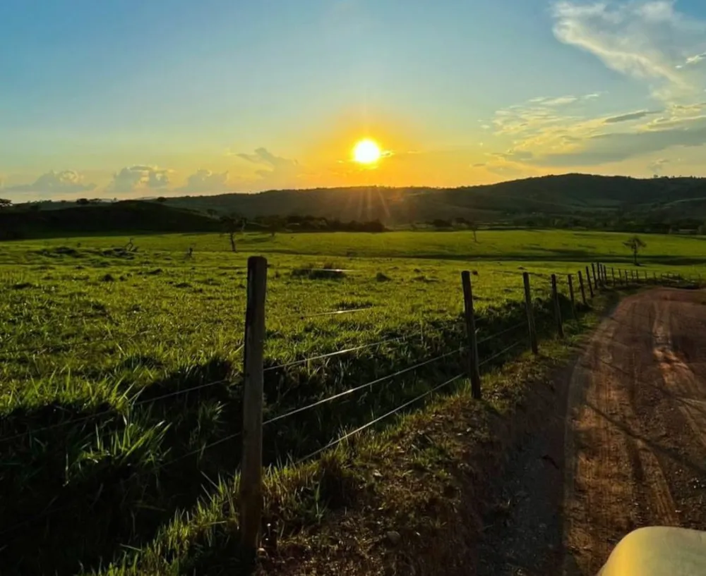 Fazenda, 239 hectares - Foto 4