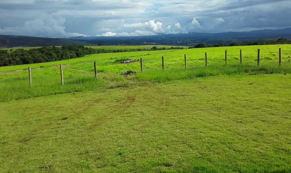 Fazenda, 239 hectares - Foto 1