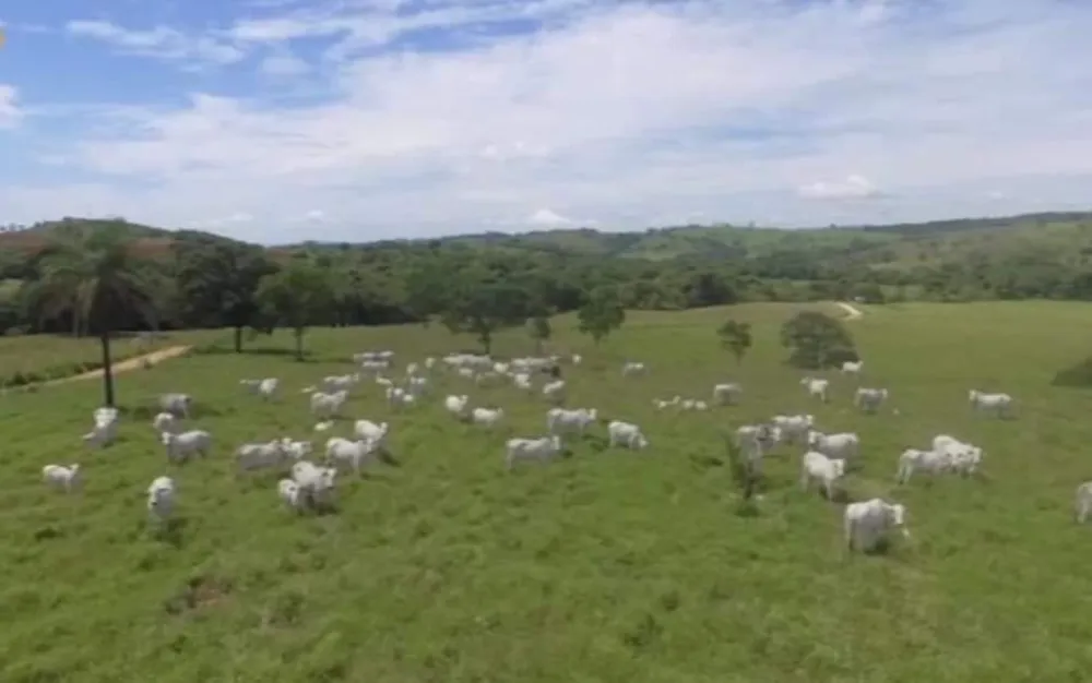 Fazenda, 239 hectares - Foto 2