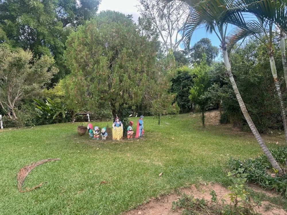 Chácara, 4 quartos, 3000 m² - Foto 3
