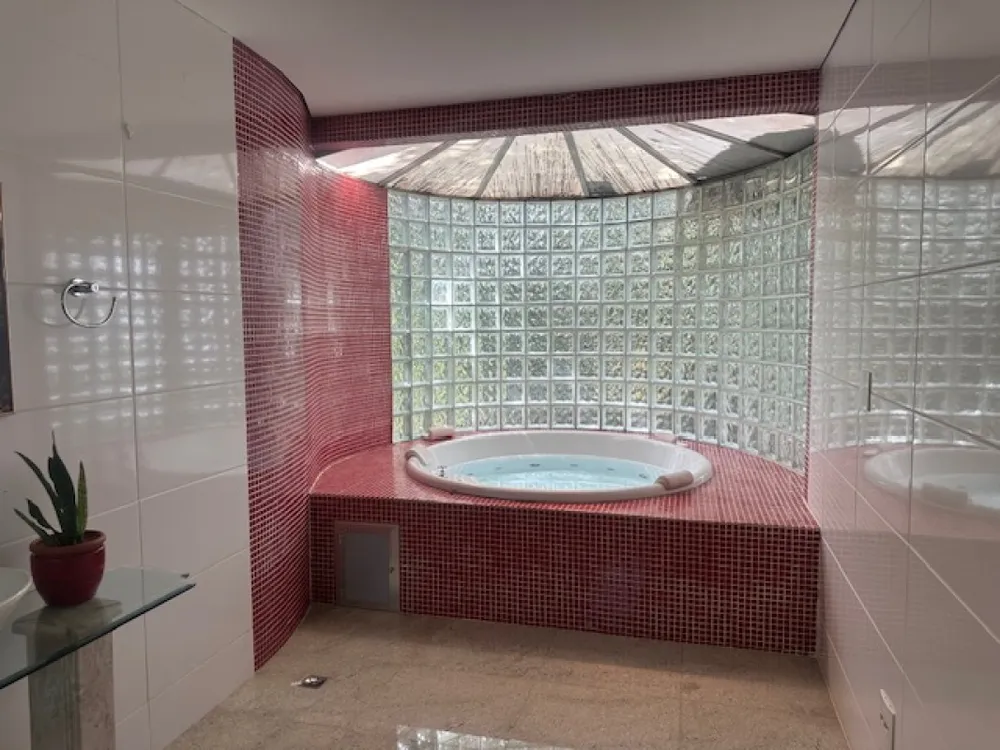 Sítio, 4 quartos, 3000 m² - Foto 24