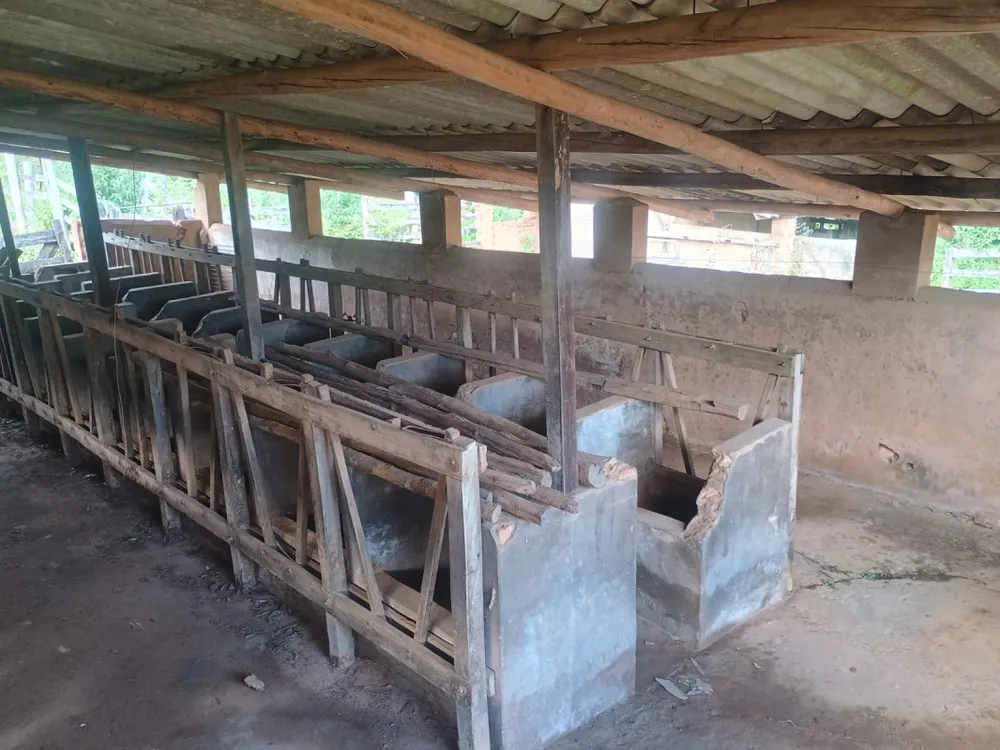 Fazenda, 3 hectares - Foto 8