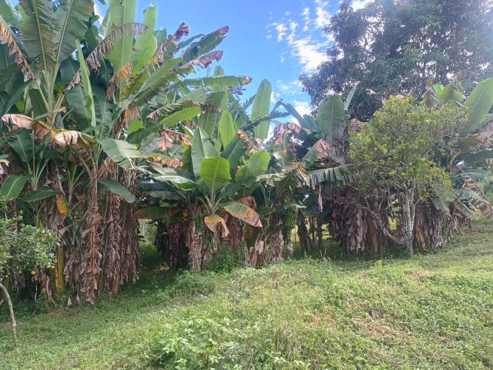 Fazenda, 3 hectares - Foto 15