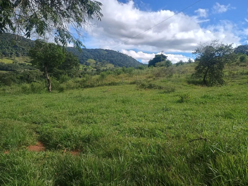 Fazenda, 3 hectares - Foto 12
