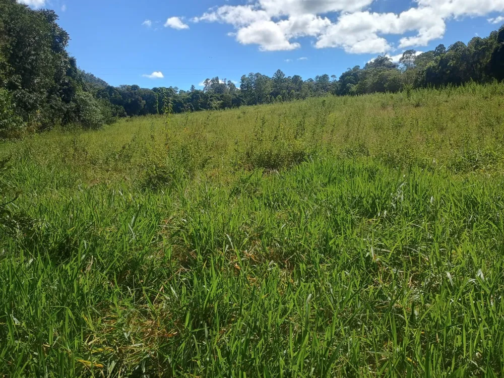 Fazenda, 3 hectares - Foto 11