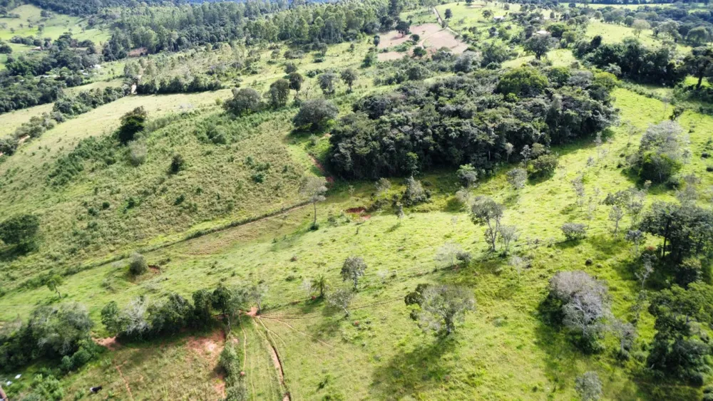 Fazenda, 3 hectares - Foto 6
