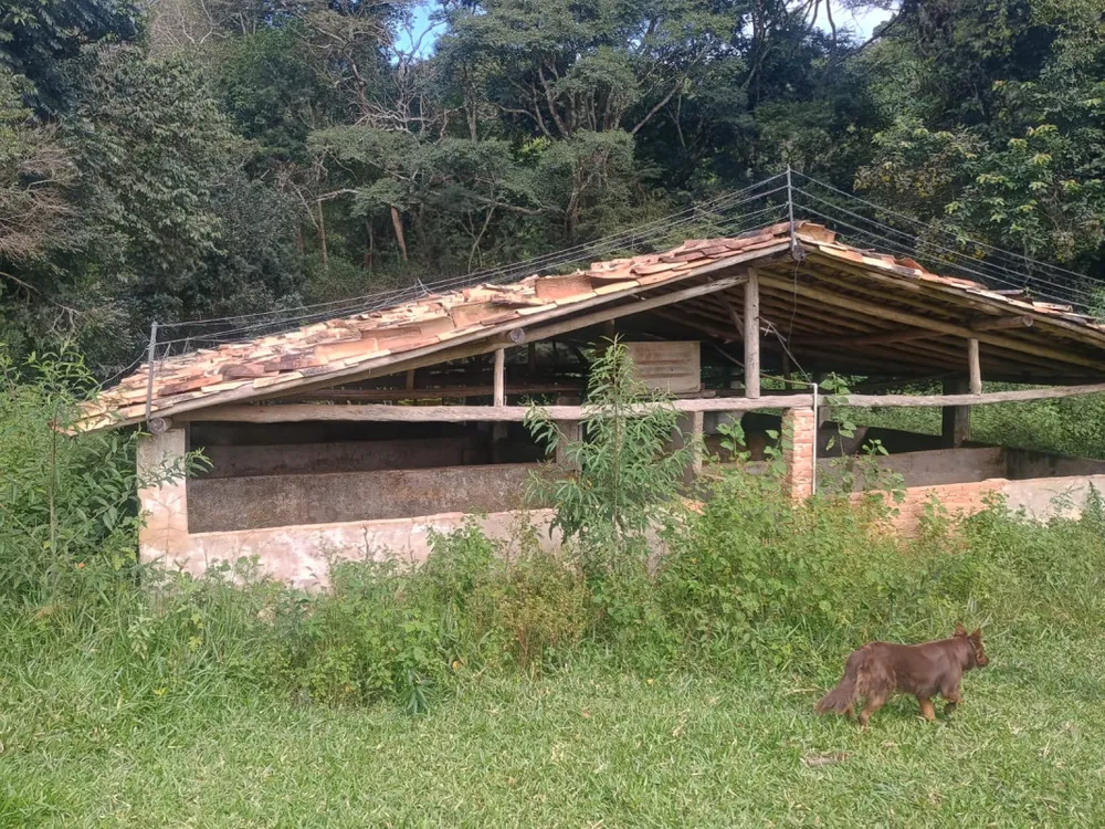 Fazenda, 3 hectares - Foto 4