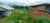 Terreno - Foto 2