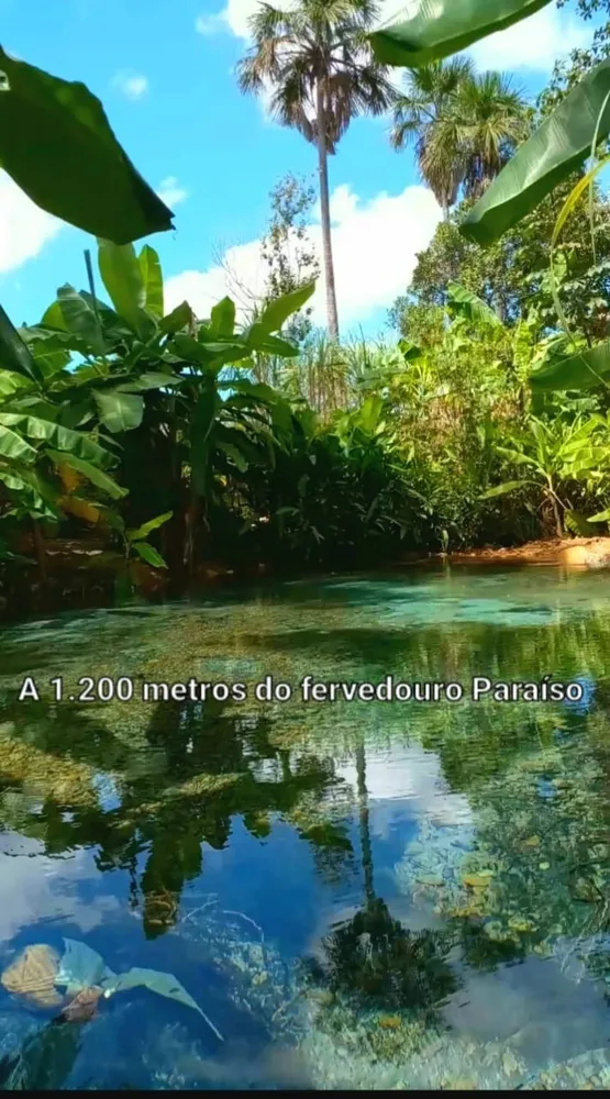 Terreno, 44000 m² - Foto 10