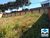 Terreno, 360 m² - Foto 2