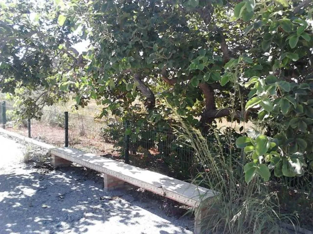 Chácara, 1 quarto, 2 hectares - Foto 3