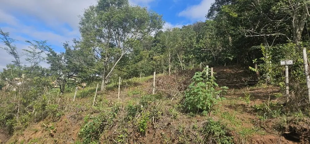 Terreno - Foto 1