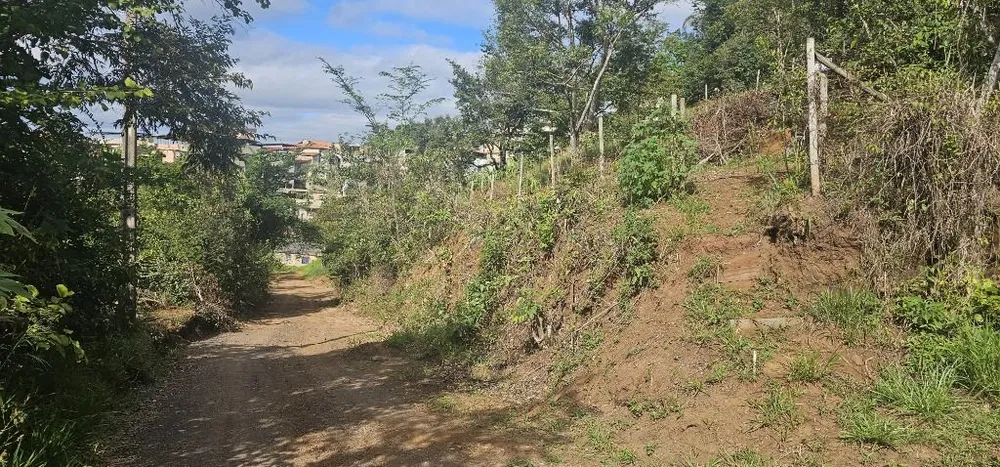 Terreno - Foto 3