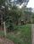 Terreno, 6500 m² - Foto 3