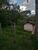 Terreno, 6500 m² - Foto 4