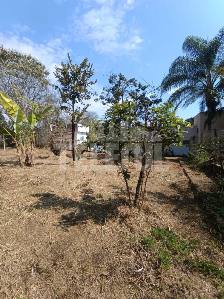 Chácara, 3 quartos - Foto 2
