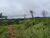 Terreno, 100000 m² - Foto 5