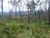 Terreno, 100000 m² - Foto 8