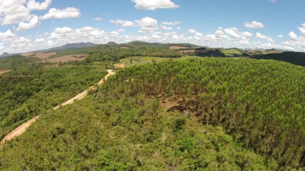 Chácara, 1 quarto, 2 hectares - Foto 4