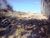 Terreno, 512 m² - Foto 5