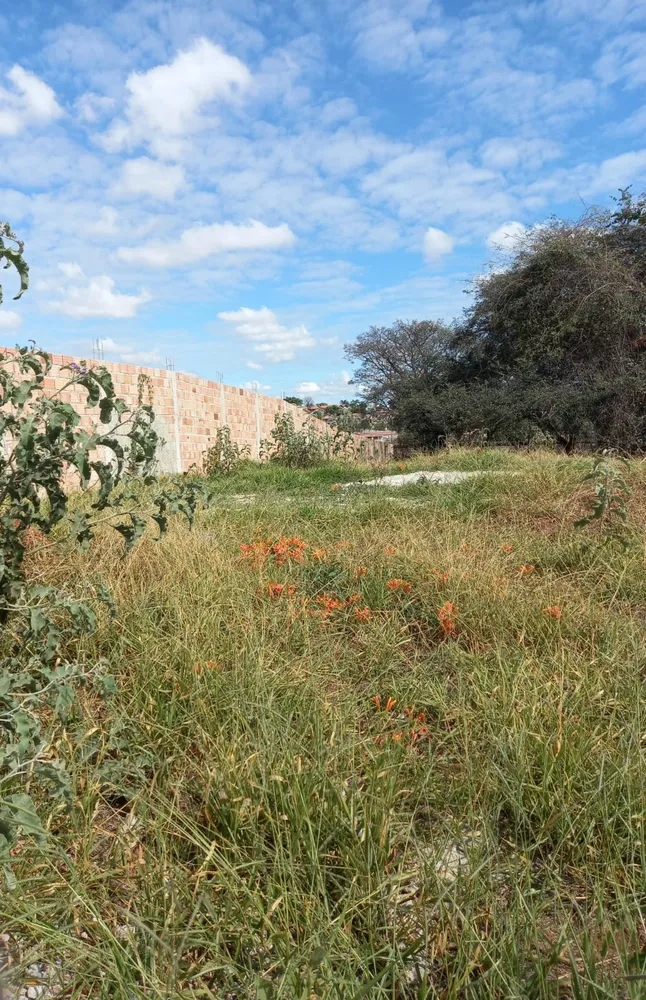 Terreno - Foto 4
