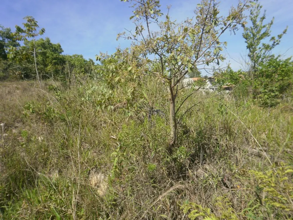 Terreno, 510 m² - Foto 7