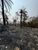 Terreno, 1020 m² - Foto 3