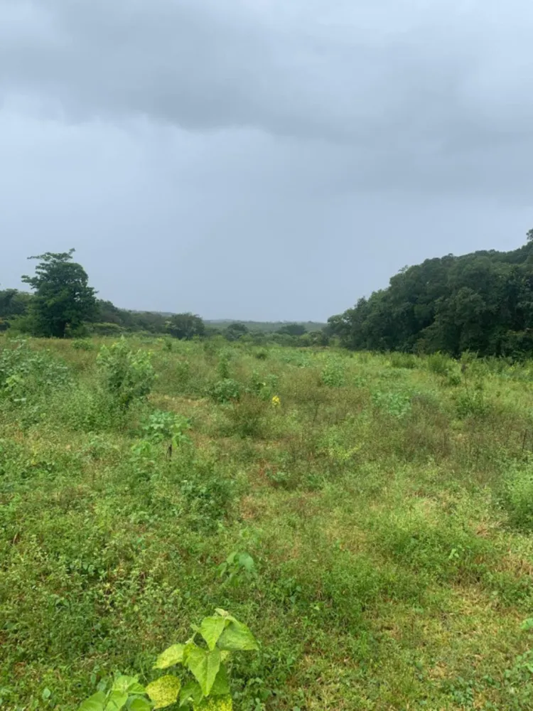 Fazenda, 1 quarto - Foto 9