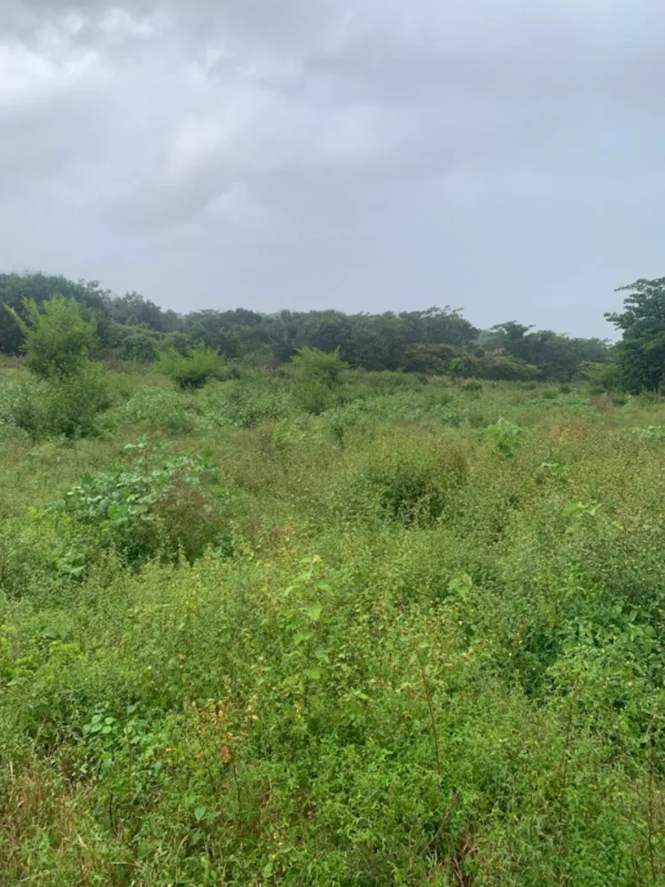 Fazenda, 1 quarto - Foto 12