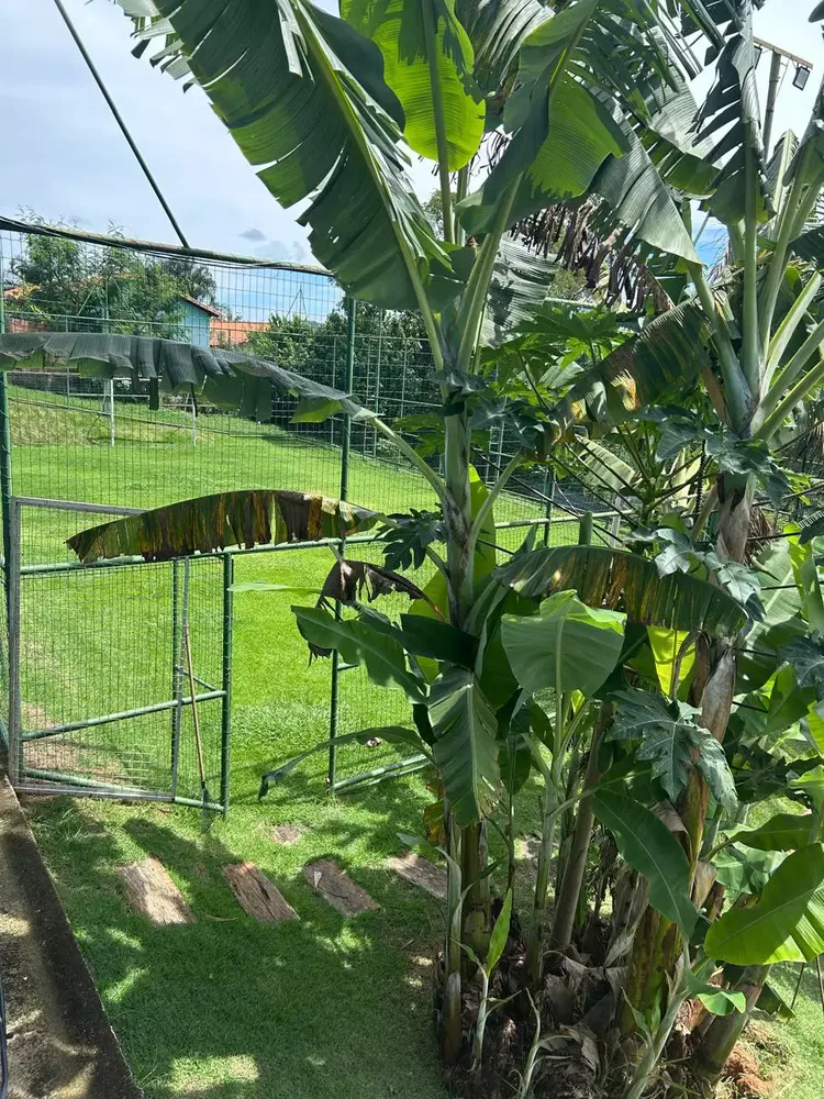 Chácara, 4 quartos, 3000 m² - Foto 8