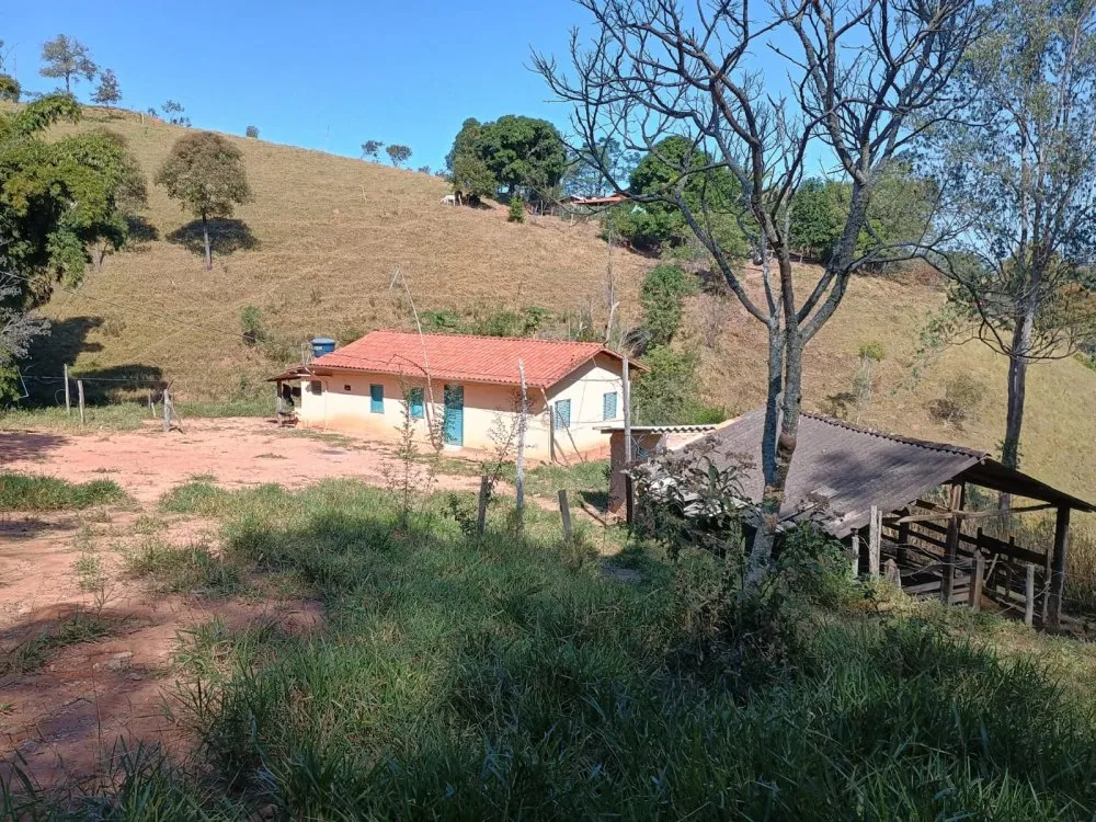 Sítio, 4 quartos, 23000 m² - Foto 7