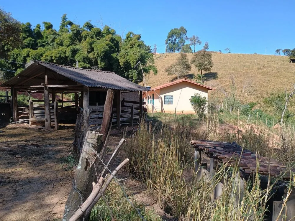 Sítio, 4 quartos, 23000 m² - Foto 10