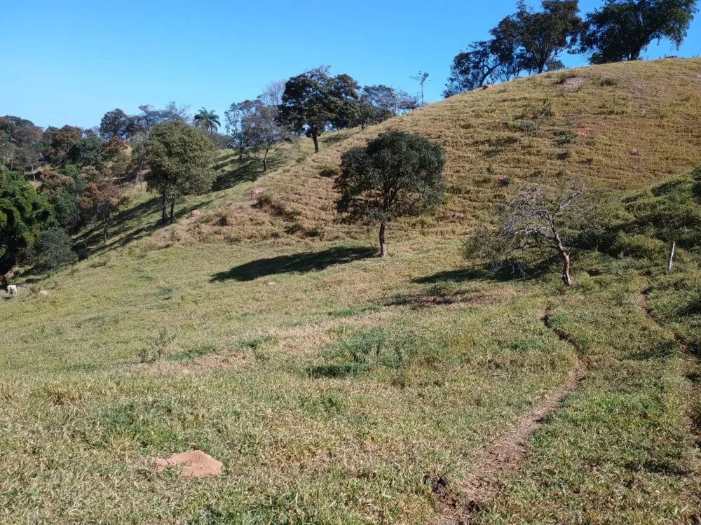 Sítio, 4 quartos, 23000 m² - Foto 13