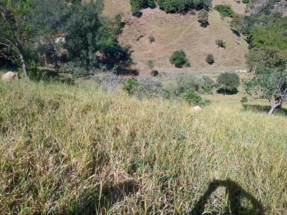 Sítio, 4 quartos, 23000 m² - Foto 9