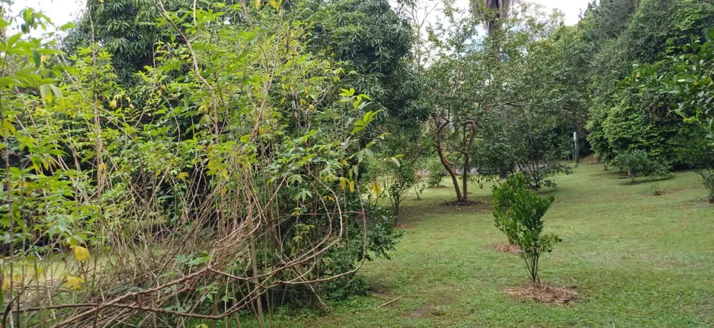 Sítio, 3 quartos, 2 hectares - Foto 7