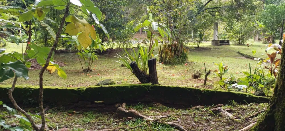 Sítio, 3 quartos, 2 hectares - Foto 4