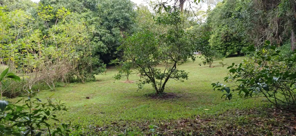 Sítio, 3 quartos, 2 hectares - Foto 12