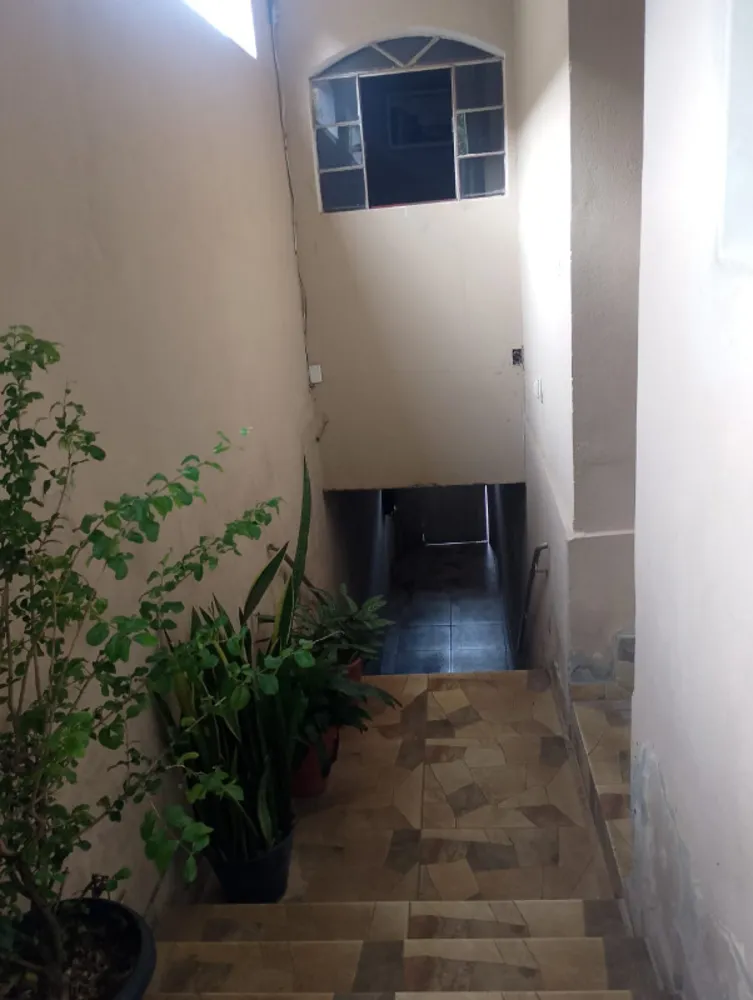 Casa, 3 quartos, 360 m² - Foto 5