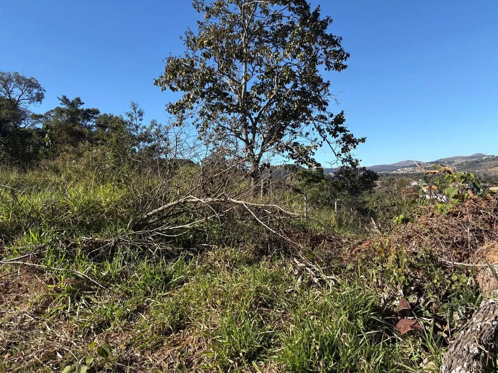 Terreno - Foto 3