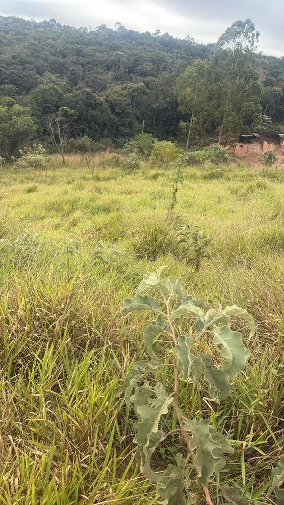 Terreno, 360 m² - Foto 2