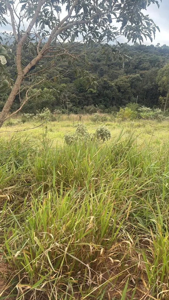 Terreno, 360 m² - Foto 6