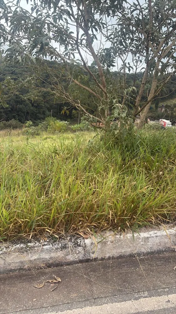 Terreno, 360 m² - Foto 8